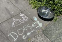 West Seattle Blog… | 7 for your West Seattle Monday