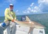 Fly Fishing for Blacktip Sharks off North Carolina