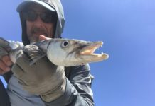 Salomone: Advice for traveling anglers