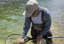 Salomone: Time to fish small streamers