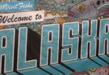 Local business highlighted in Google Economic Impact Report