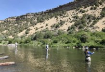 Salomone: Wading safely | VailDaily.com