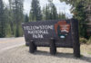6 Things to Do in Yellowstone National Park This Summer
