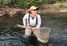 5 Dry Flies for Summer on the Upper Delaware
