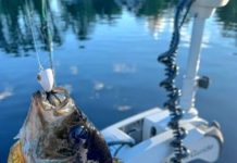 Athol Daily News – The Sportsman’s Corner: The fly rod nets a bluegill on White Pond