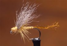 Video: How to Tie the Sulphur Breadline Emerger