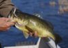 DNR facts to know about fishing in Wisconsin