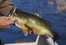 DNR facts to know about fishing in Wisconsin