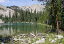 ‘What more could you ask for’