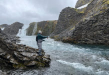 Iceland, Day Two: Cold Lava