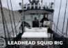 Leadhead Squid Rig for White Sea bass a deadly technique | BDOutdoors