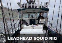 Leadhead Squid Rig for White Sea bass a deadly technique | BDOutdoors