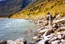 Makarora River Discoloured – The Young and Blue Rivers, Cameron Flat