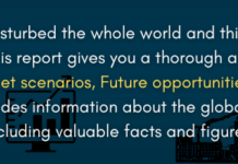 Fly Fishing Reel Market 2022