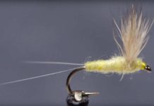 Video: How to Tie a Sulphur Comparadun