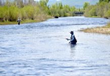 ‘A lot of water’: Despite tailwaters closure, there is still plenty of good fishing in Yampa Valley