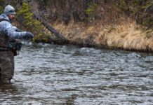 Colorado Alpine fly fishing program aims to create community among local veterans