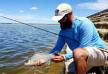 Pro Tips: How to Catch Wipers in Spring