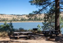 Fishing Report: High toxic levels of blue-green algae found in Indian Creek Reservoir; fishing successful elsewhere throughout region | Carson City Nevada News