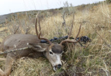 Big game hunters: Take note of these new hunting boundaries, rules and law changes and plan your hunt accordingly