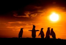 Must-see places in Patagonia | CNN Travel