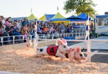 A locals’ guide of things to do in Eugene