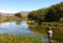 Around Town: Silver Creek offers free Fly Casting Clinics | Arts & Events