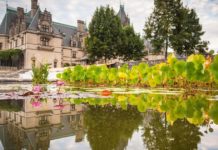 Gardens, da Vinci exhibit highlight summer at Biltmore | Arts & Entertainment