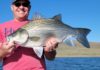 Joe’s Fishing Hole: Use the weeds in the water to your fishing advantage | Lifestyles