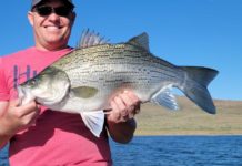 Joe’s Fishing Hole: Use the weeds in the water to your fishing advantage | Lifestyles