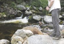 North Country Angling: Fourth of July fishing fireworks | Fishing