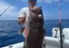 Landing a record fish is no easy feat | Fishing
