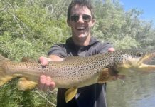 Fishing report: Plenty of variety during the dog days of summer | State & Regional