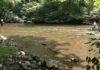 Destination PA: Fly Fishing at Allenberry Resort