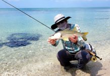 Stream to Salt II: Keep Moving