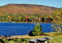 The Catskills Is Home To A State Park & Here’s What You Can Do There
