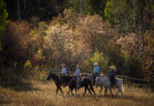 Experience Salt Lake City the Houstonian Way
