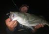 How to Fish for Striped Bass in Summer
