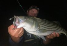 How to Fish for Striped Bass in Summer