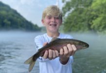 Catching the Cure – Cityview