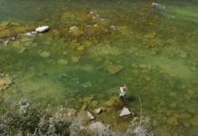 How to Fish a ‘Shoreline Bucket’: Trout Fly Fishing 101