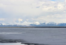 Our Outdoors: Water, Water Everywhere?