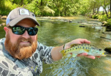 Podcast: Fly-Fishing for Redeye Bass, with Matthew Lewis