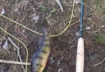 Fly Fishing, Flea Markets and Yard Sales, Oh My