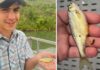 Montana Teen Catches State Record Shiner