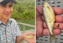 Montana Teen Catches State Record Shiner