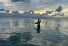 Searching for Serenity – Cityview