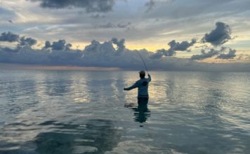 Searching for Serenity – Cityview