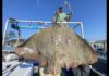 Bowfisherman Shoots Pending World Record Butterfly Ray