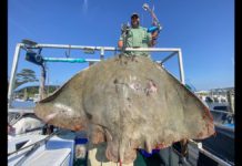 Bowfisherman Shoots Pending World Record Butterfly Ray